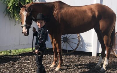 Youth Horse Department